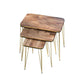 Woodly Nesting Coffee Tables with Metal Legs