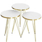 Luxurious Modern 3 Piece Round Nesting Side/End Table Set with Metal Legs