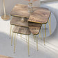 Woodly Nesting Coffee Tables with Metal Legs