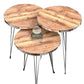 Luxurious Modern 3 Piece Round Nesting Side/End Table Set with Metal Legs