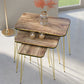 Woodly Nesting Coffee Tables with Metal Legs
